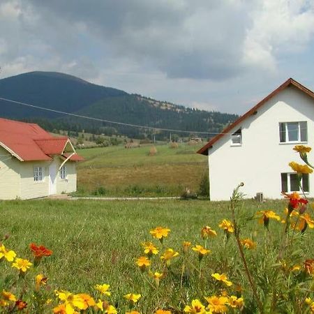 Villa Casa Ana Vatra Dornei Dealu Floreni Exterior foto